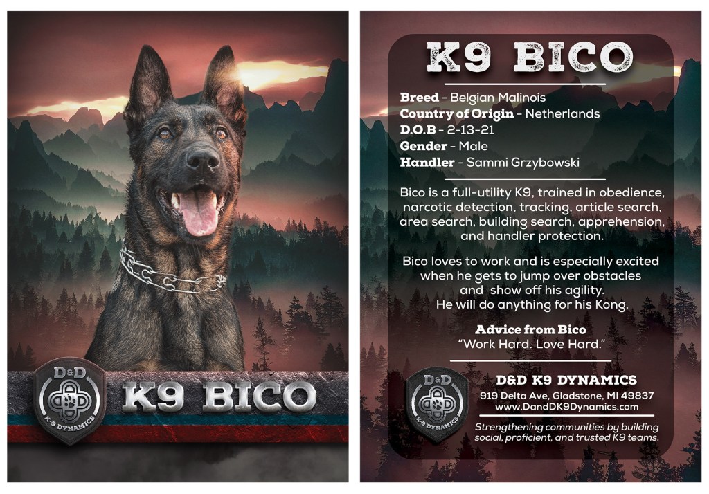 Hero Cards Custom Style Options – K9 Hero Cards